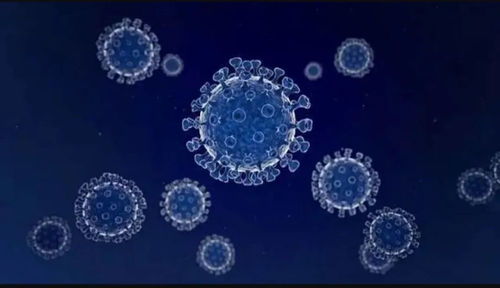 任澤平對話尹燁 生命科技、生物技術與健康長壽的未來前景
