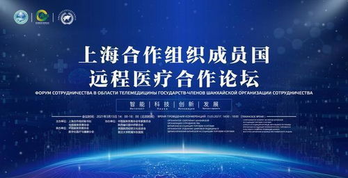 數(shù)字絲路，健康同行 中國數(shù)字化醫(yī)療技術(shù)助力“一帶一路”醫(yī)療事業(yè)發(fā)展